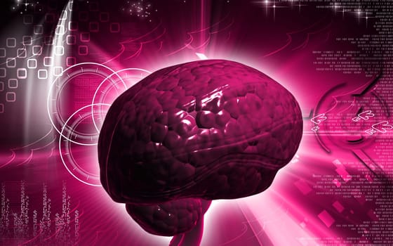 Digital illustration of brain in colour background