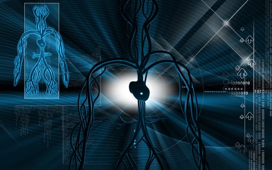 Digital illustration of vascular system in colour background