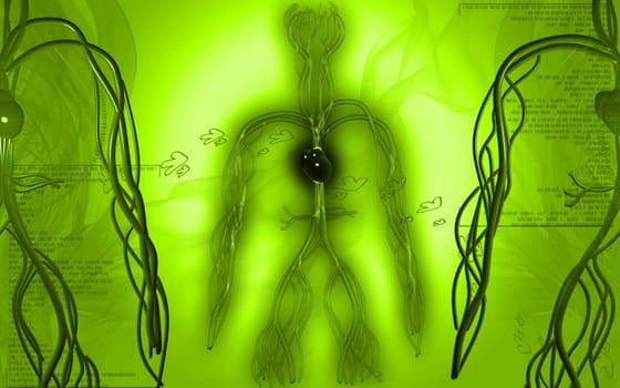 Digital illustration of vascular system in colour background