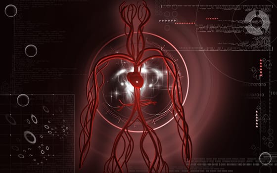 Digital illustration of vascular system in colour background