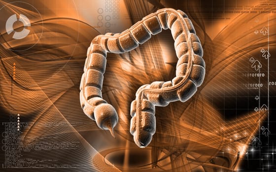 Digital illustration of large intestine in colour background