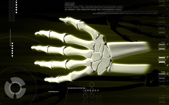 Digital illustration of hand bone in colour background
