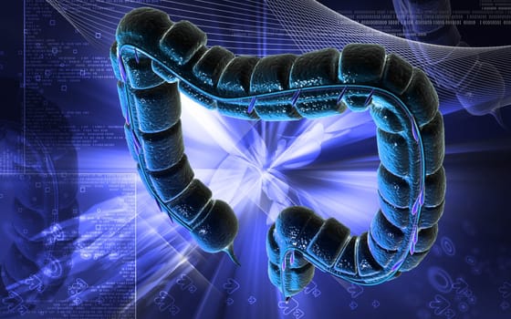 Digital illustration of large intestine in colour background
