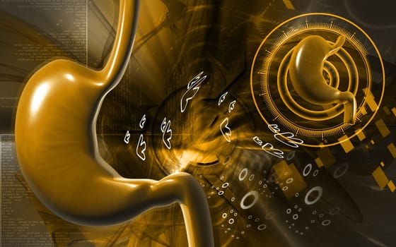 Digital illustration of stomach in colour background