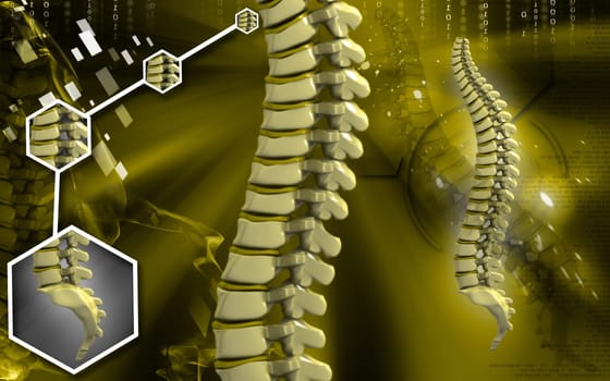 Digital illustration of back bone in colour background