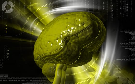 Digital illustration of brain in colour background