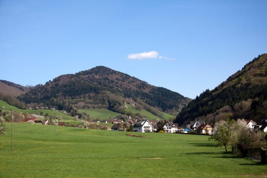 Black Forest Meadows,Glottertal