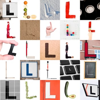Collage of images with letter L