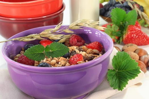 a bowl of fruit muesli with fresh berries