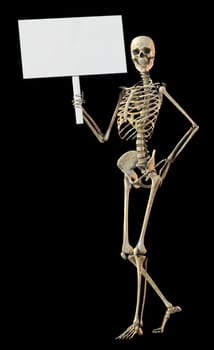 A skeleton standing casually and holding a sign on a white background