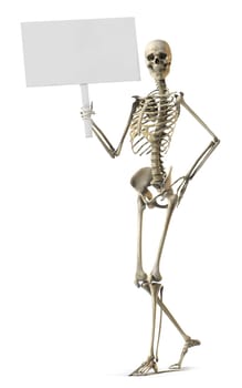 A skeleton standing casually and holding a sign on a white background