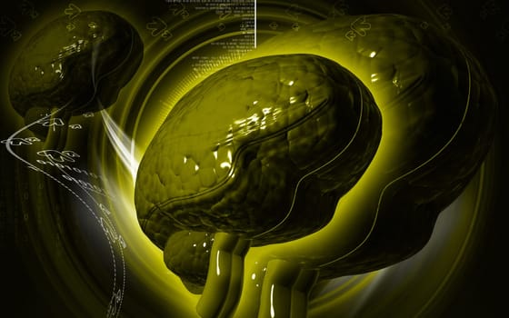 Digital illustration of brain in colour background