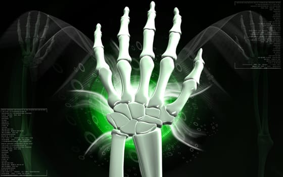 Digital illustration of hand bone in colour background