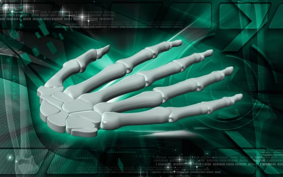 Digital illustration of hand bone in colour background