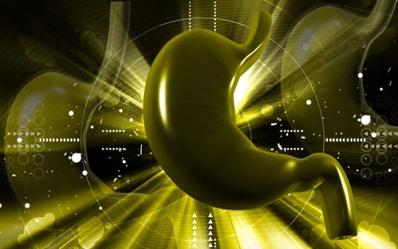 Digital illustration of stomach in colour background