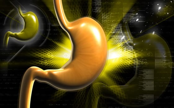 Digital illustration of stomach in colour background
