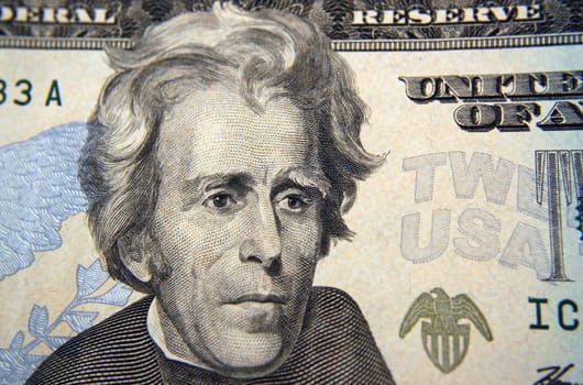 Twenty Dollar bill Macro Andrew Jackson