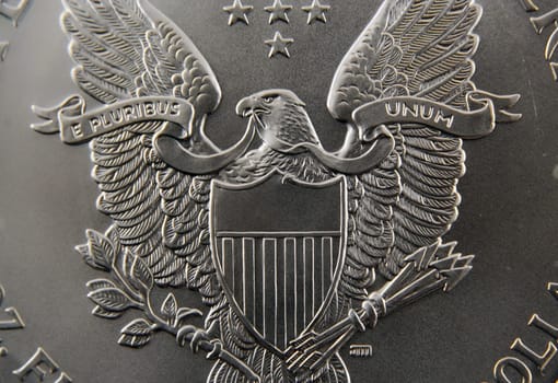 Silver Dollar Back Macro