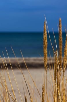 by the sea