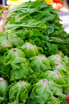 Fresh green produce at an outdoor farmers market