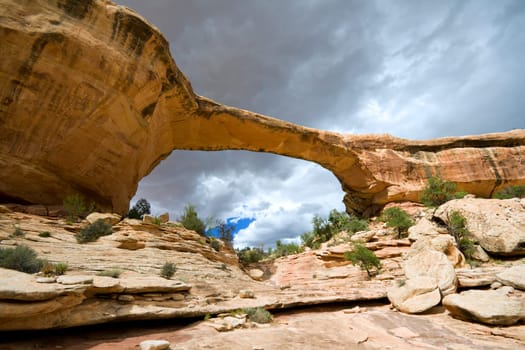 Owachomo Bridge in Natural Bridges National Monument, Utah