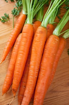 Brunch of fresh Carrot with roots, healthy and full of vitamins