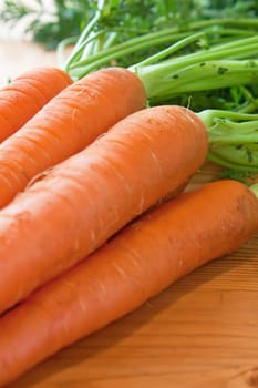 Background of brunch of fresh Carrot with roots