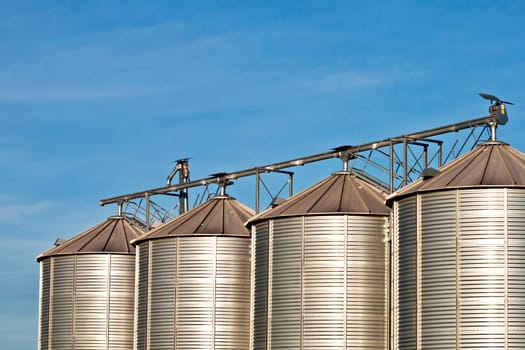 silos in beautiful landscape