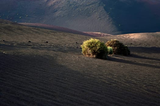 volcanic landscape in national park Timanfaya in Lanzarote, Spain