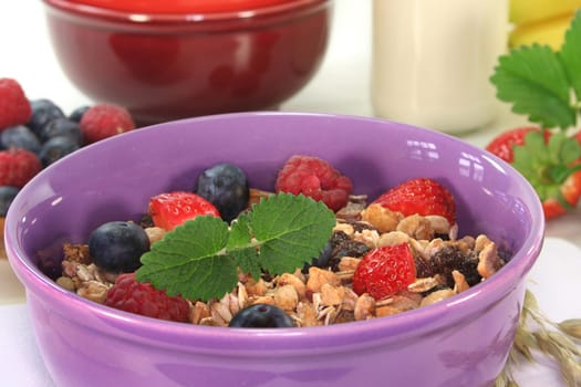 a bowl of fruit muesli with fresh berries