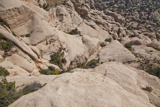 Dana Biosphere Reserve in Jordan