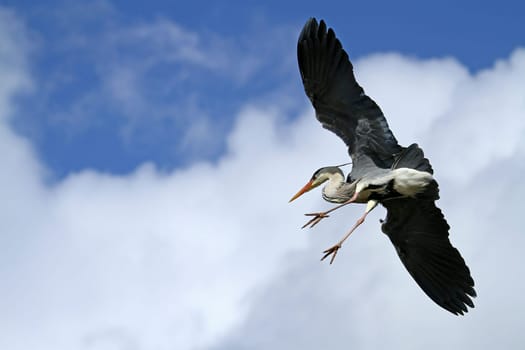 Landing approach