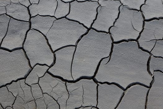 a nice texture on a dry land