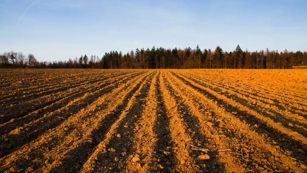 In the field