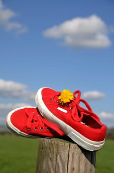 Summer feeling