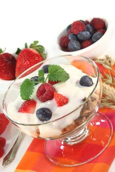 a bowl of fruit muesli with yoghurt and lemon balm