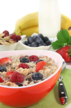 a bowl of fruit muesli with yoghurt and lemon balm