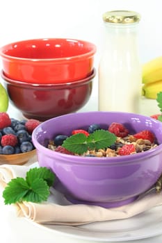 a bowl of fruit muesli with fresh berries