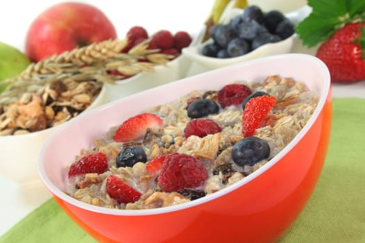 a bowl of fruit muesli with yoghurt and lemon balm