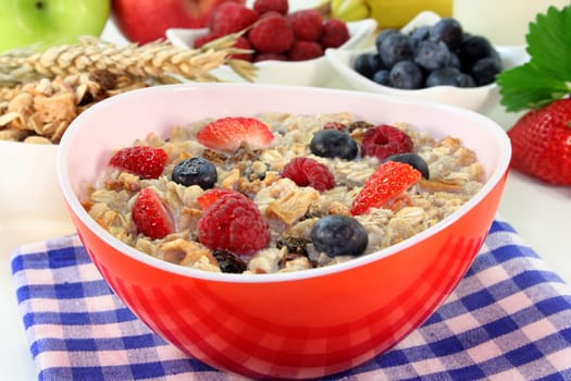 a bowl of fruit muesli with yoghurt and lemon balm
