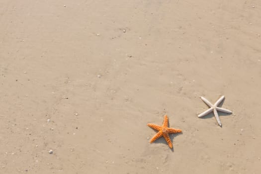 Idyllic summer vacation background with copy space