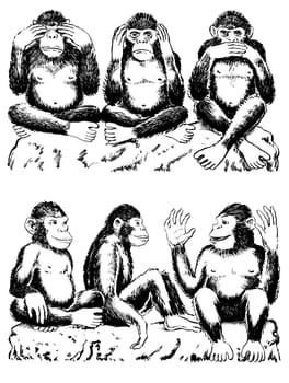 Black and white illustration of three monkeys acting out famous expression. See no evil, hear no evil, speak no evil. One monkey has his hands over his eyes, one over his ears, and another over his mouth. All sitting cross legged. Below are three monkeys