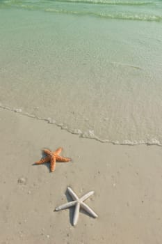 Idyllic summer vacation background with copy space