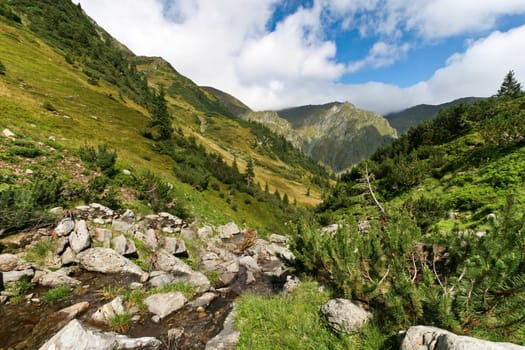 a small river in Fagaras Mountains, Romania