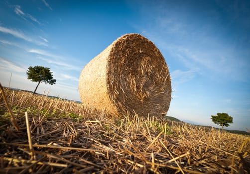 Hay Bale on the late Afternoon with blue Sky