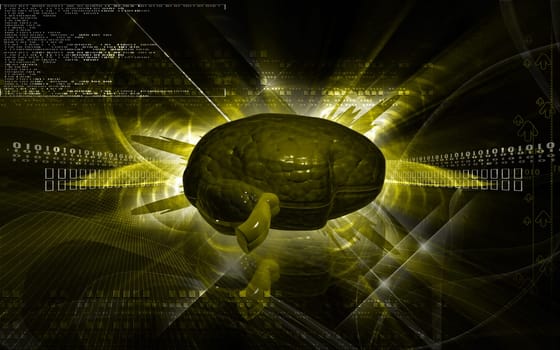 Digital illustration of brain in colour background