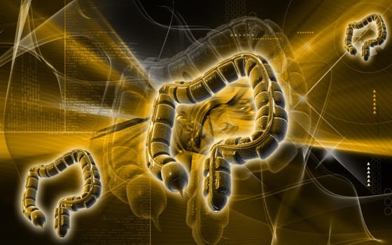 Digital illustration of large intestine in colour background