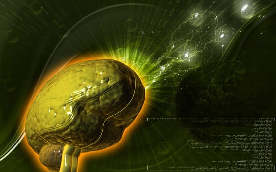 Digital illustration of brain in colour background