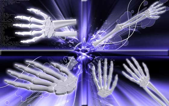 Digital illustration of hand bone in colour background