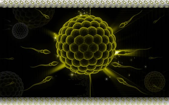 Digital illustration of human egg fertilizing sperm in colour background